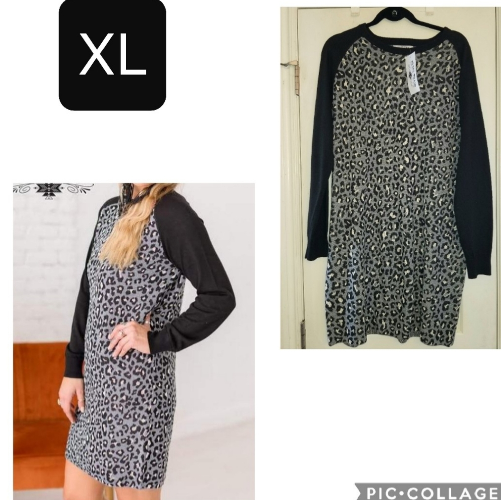 XL Crazy Train Dress